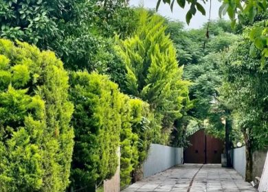 خرید زمین مجتمع خصوصی ۱۰ واحدی ابعاد مختلف سند دار | ۱۹۰ متر