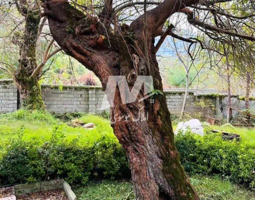 فروش اقساطی ویلا باغ ۳۰۰ متری مبله الیمالات نور | ۳۰۰ متر