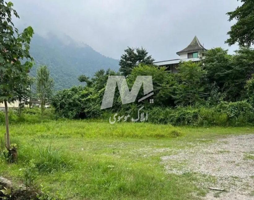 فروش ویژه زمین قطعات ۲۵۰ و ۳۰۰ متری دامنه جنگل نور | ۲۵۰ متر