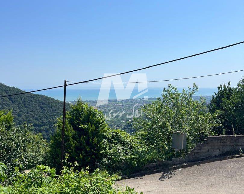 فروش زمین در اربکله رامسر | 523 متر