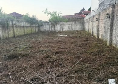 خريد زمين ٣٦٠ متري آماده ساخت در دزدك نوشهر | 360 متر