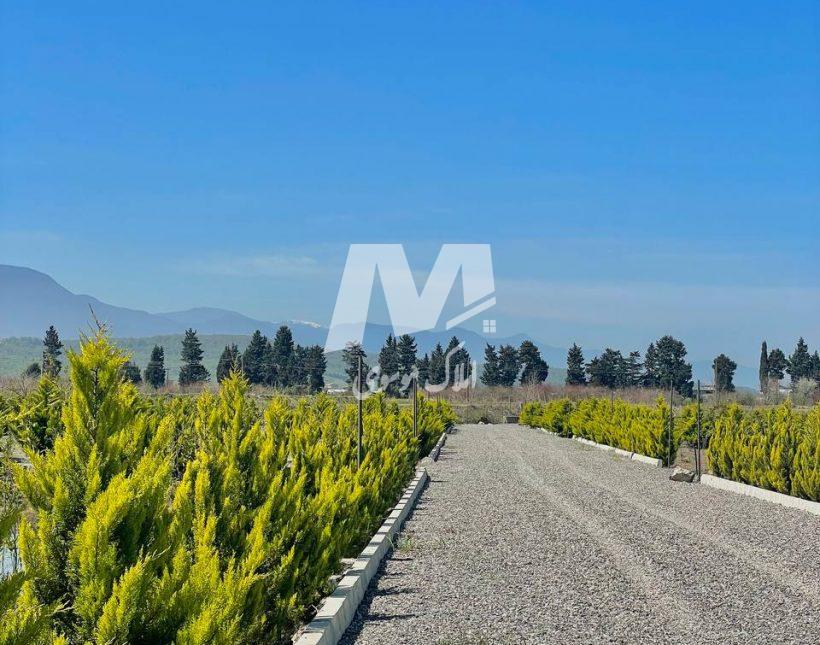 خريد زمين ٢٠٠ متري شهركي آماده ساخت در اميرآباد چمستان | 200 متر