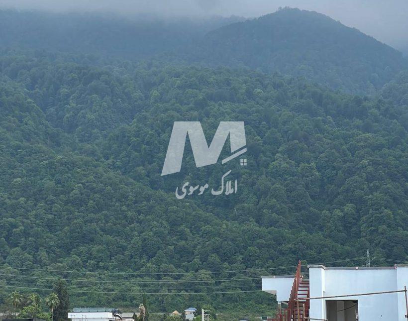 خرید ویلا نما مدرن استخر دار در دل جنگل | 450 متر