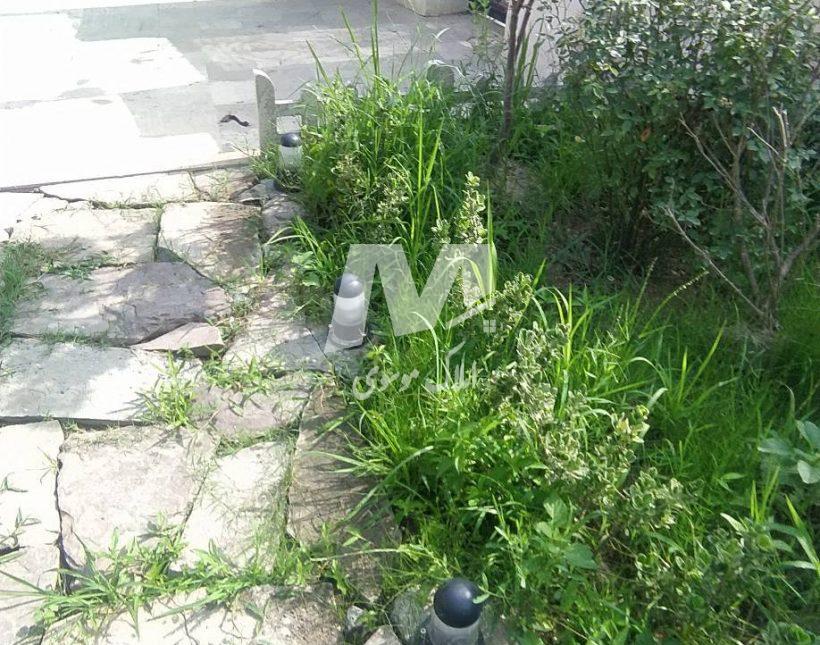 خرید ویلا باغ ۸۰۰ متری مشجر و فول فرنیش در نور | ۸۰۰ متر