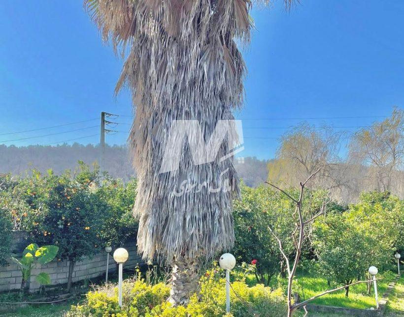 خرید ویلا در شهربند چمستان | ۱۲۰۰ متر