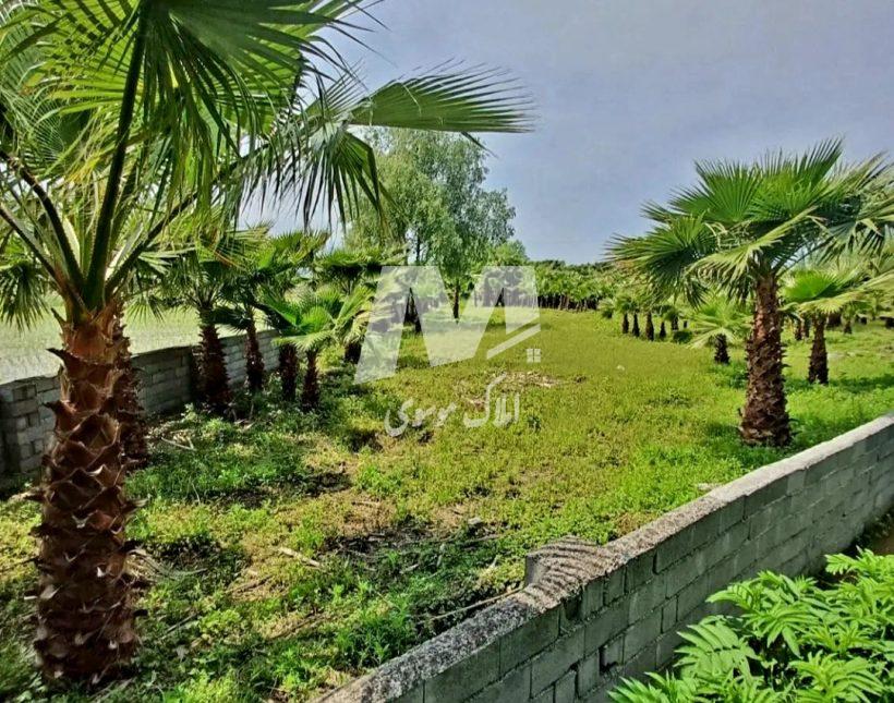خرید زمین ۳۰۰ متری به شرط ساخت پلاک یک جنگل | ۳۰۰ متر