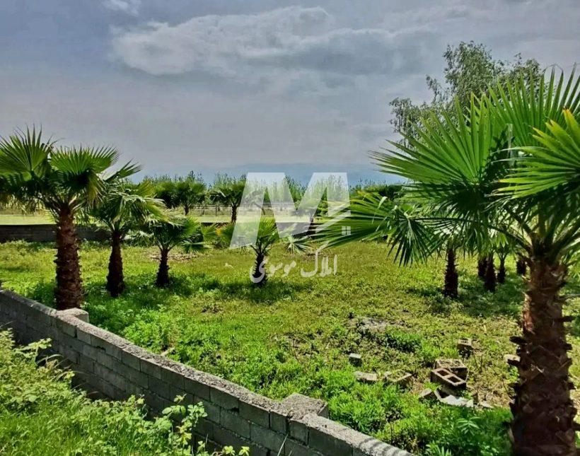 خرید زمین ۳۰۰ متری به شرط ساخت پلاک یک جنگل | ۳۰۰ متر