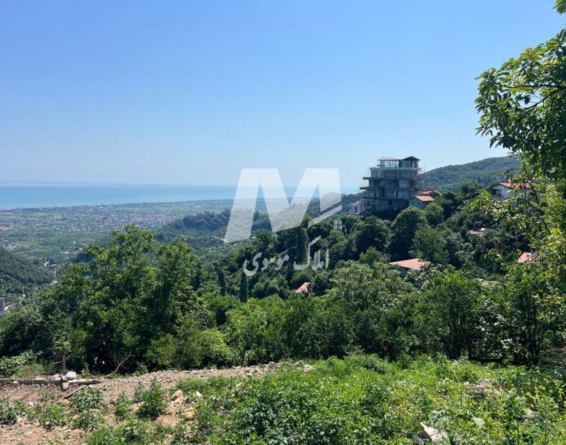 فروش زمین در اربکله رامسر | 523 متر
