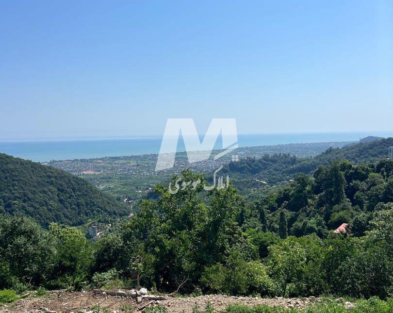 فروش زمین در اربکله رامسر | 523 متر