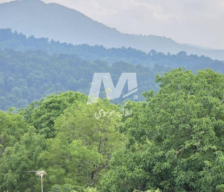 خرید اقساطی ویلای تریپلکس استخردار همراه با سند در چمستان | ۴۵۰ متر