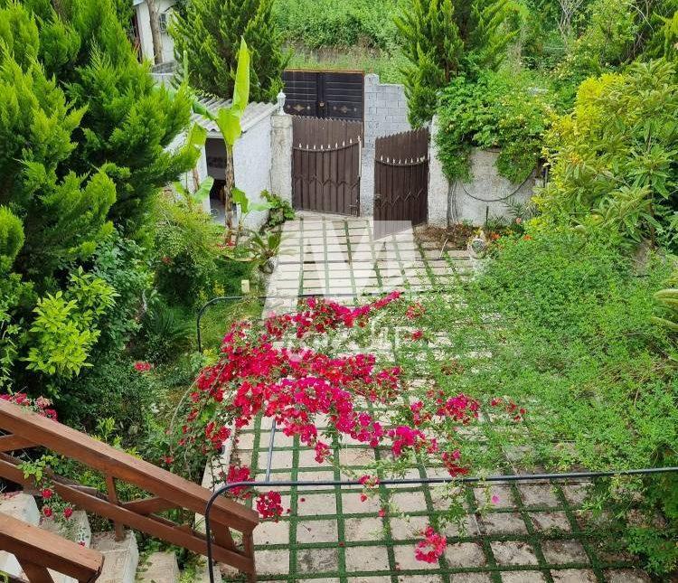 خرید ویلا باغ 230 متری جنگلی در نور | 230 متر