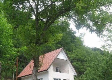 خرید ویلا در چمستان واز ۳۰۰ متری مبله قطعه اول جنگل | ۳۰۰ متر
