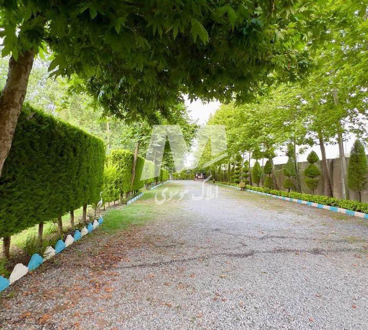خرید ویلا لوکس نما مدرن جنگلی نور | ۲۳۰ متر