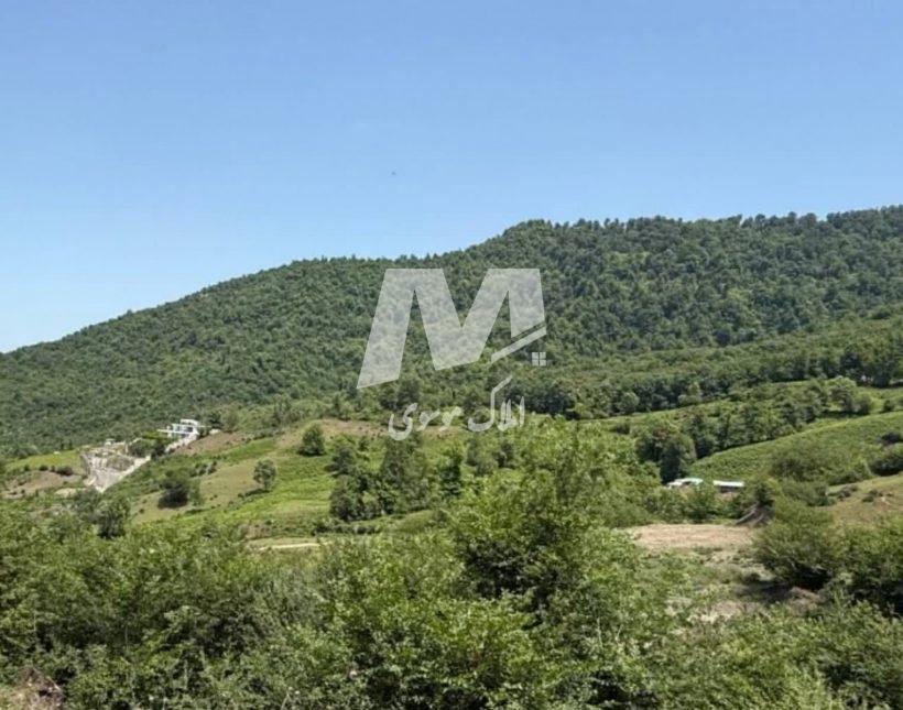 خرید زمین در چمستان ۵ هزار متر زمین قابل تفکیک مناسب سرمایه گذاری | ۵۰۰۰ متر