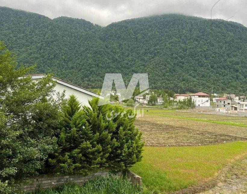 خرید زمین در چمستان شروع قواره از ۲۰۰ متر پلاک اول جنگل | ۲۰۰ متر
