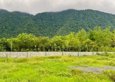 فروش زمین ۴۸۰ متری با ویوی جنگل آماده ساخت كهنه سرا | 480 متر