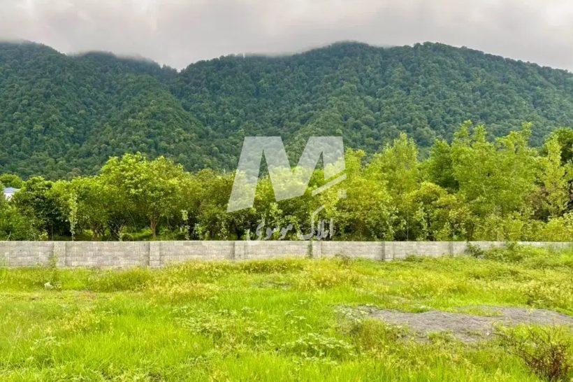 فروش زمین ۴۸۰ متری با ویوی جنگل آماده ساخت كهنه سرا | 480 متر