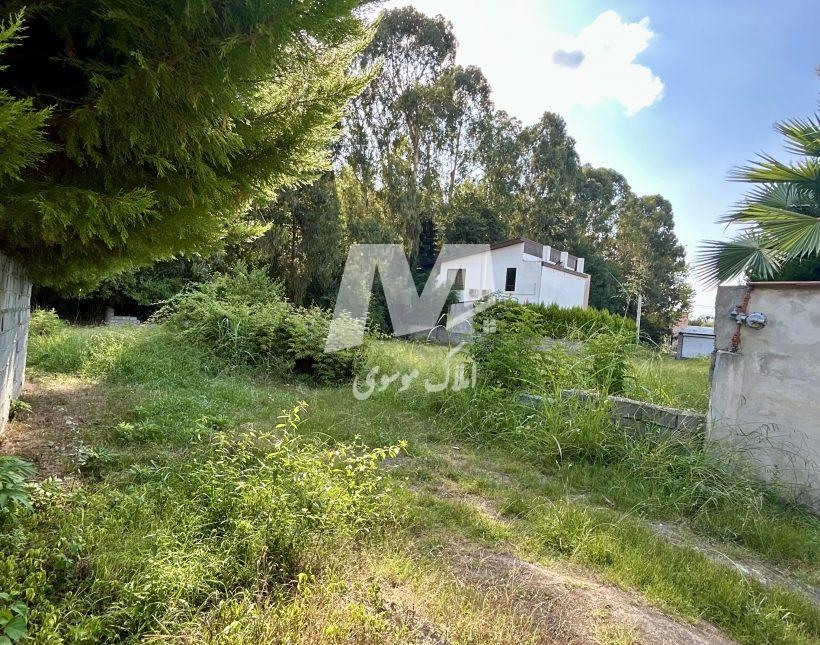 خرید ویلا باغ 1200 متری چمستان | 1200 متر