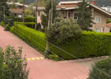 خرید زمین در چمستان 200 الی 500 متر قطعه اول جنگل | 200 متر