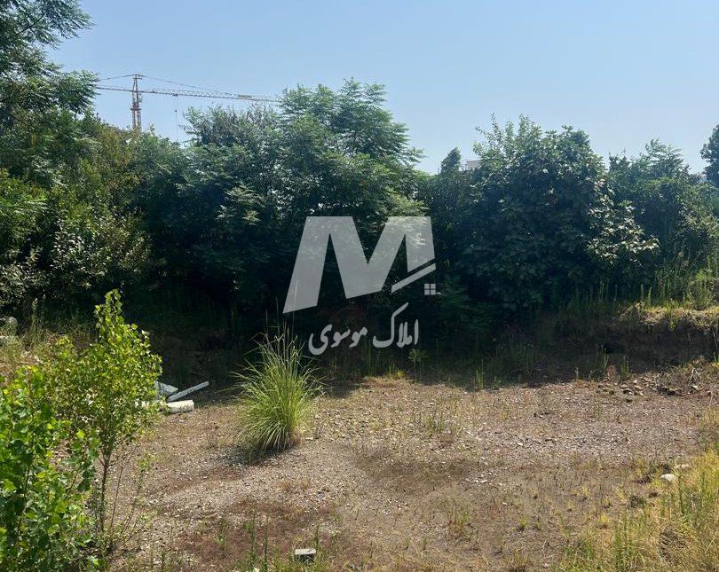 فروش زمین در موقعیت عالی رامسر | 608 متر