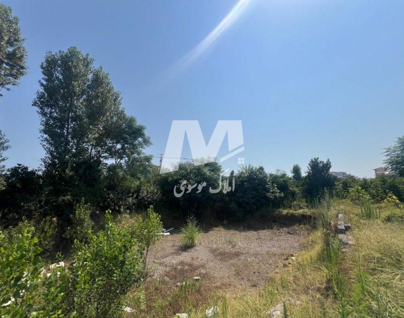 فروش زمین در موقعیت عالی رامسر | 608 متر