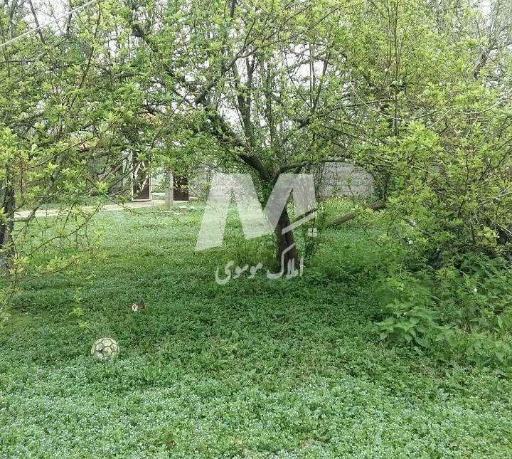 خرید ویلا در نور مناسب سرمایه گذاری 550 متری | 550 متر