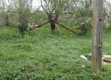 خرید زمین در نور 500 متر سند دار با دیوار کشی | 500 متر