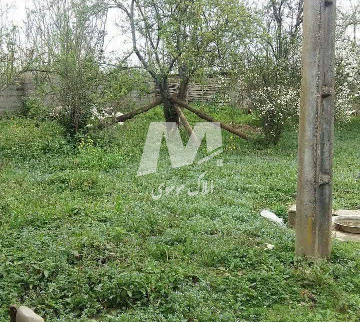 خرید زمین در نور 500 متر سند دار با دیوار کشی | 500 متر