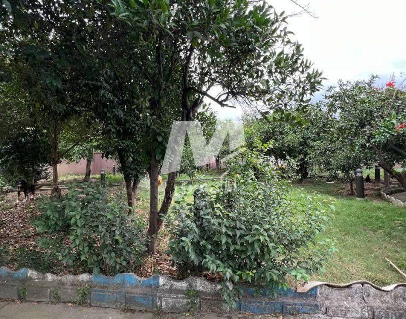 خرید ویلا در نوشهر ۳۲۰۰ متر فول فرنیش با استخر | ۳۲۰۰ متر