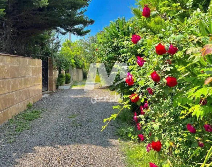 خرید ویلا در چمستان آهودشت ۲۵۰ متر سند دار جنگلی | ۲۵۰ متر