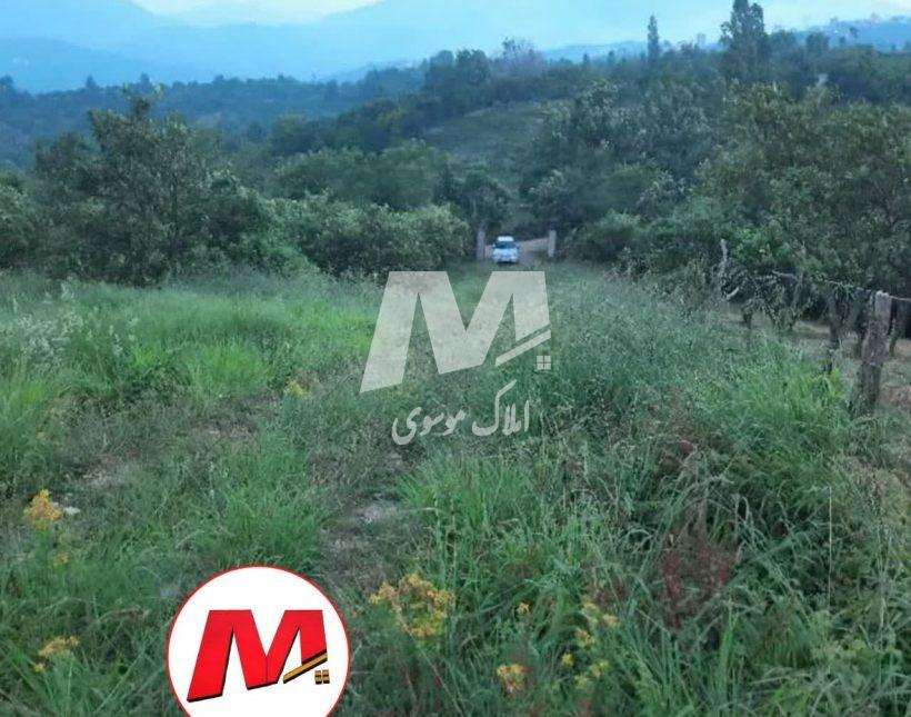 خرید زمین در چمستان 200 متر مناسب سرمایه گذاری سند دار | 200 متر
