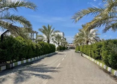 خريد زمین داخل بافت شهركي با ویوی ابدی جنگل در خيرودكنار نوشهر | 274 متر