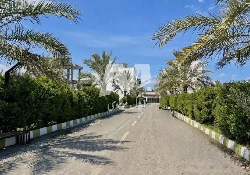 خريد زمین داخل بافت شهركي با ویوی ابدی جنگل در خيرودكنار نوشهر | 274 متر