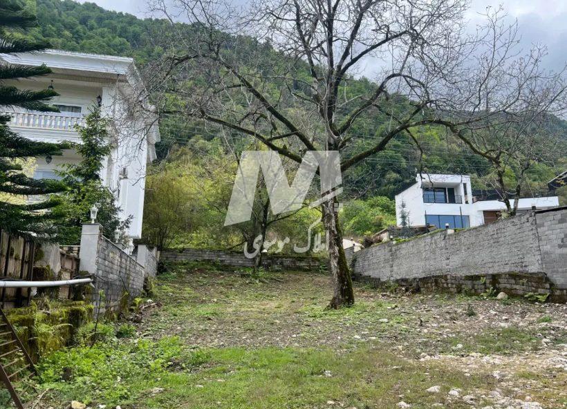 خريد زمين ٦١٣ متري با سند تك برگ در پلاك يك جنگل | 613 متر
