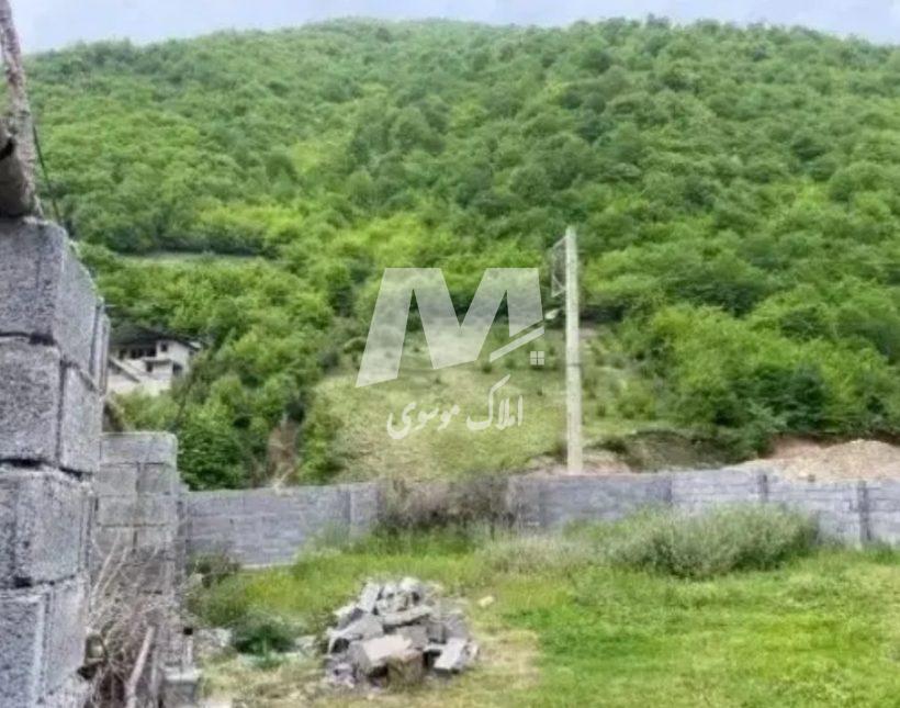 خرید زمین در چمستان ۲۵۰ متر پلاک اول جنگل سند دار | ۲۵۰ متر