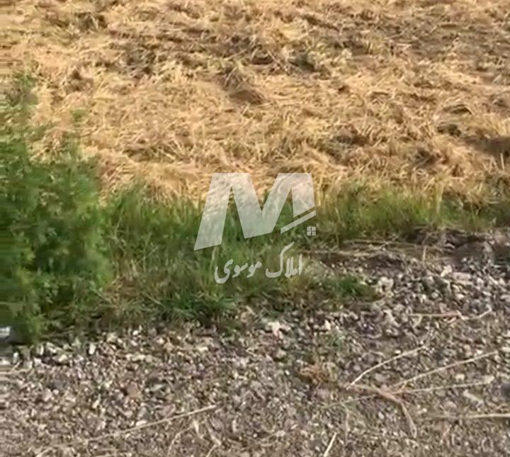 فروش زمین کشاورزی نور ایزدشهر | ۱۰۷۰۰ متر