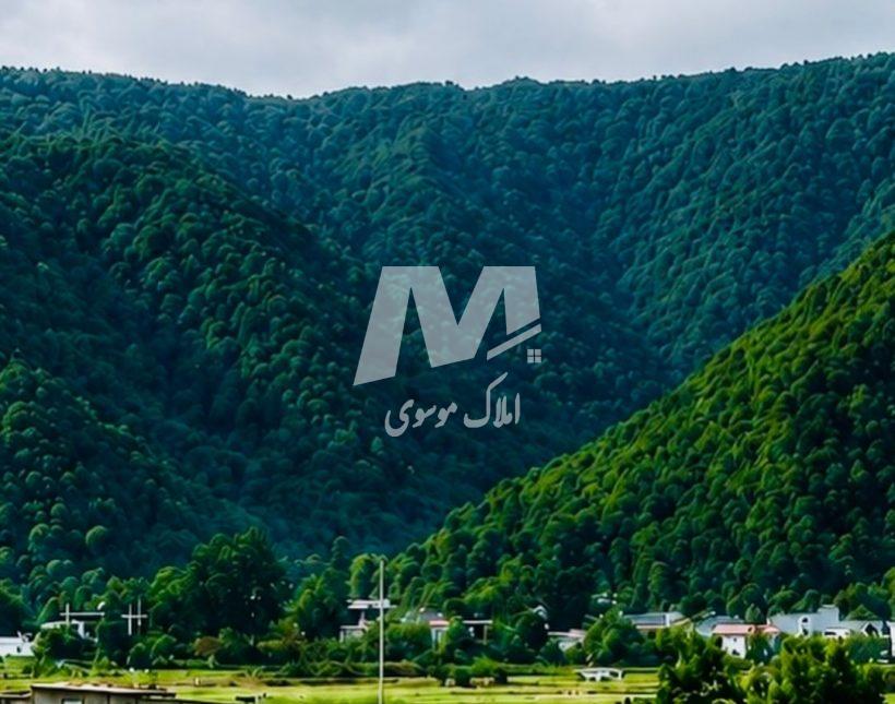 فروش ویژه ویلا 250 متری سند دار الیمالات نور | ۲۵۰ متر