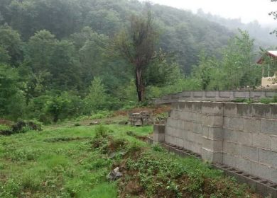 خرید زمین در چمستان ۲۵۰ متر پلاک اول جنگل سند دار | ۲۵۰ متر