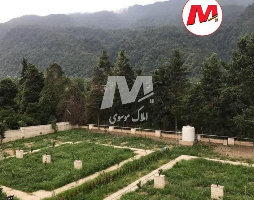 خرید زمین در نوشهر ۲۵۰ تا ۷۰۰ متر پلاک اول جنگل | ۲۵۰ متر