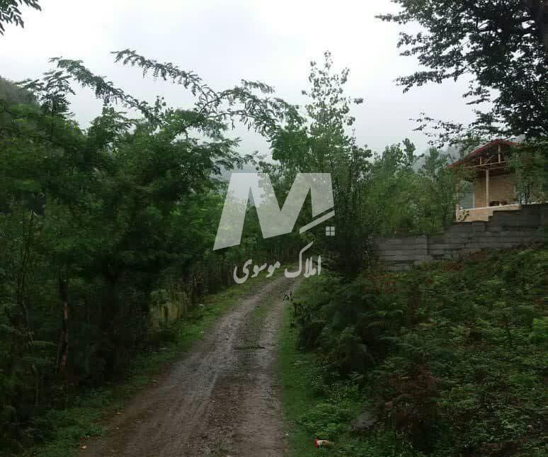 خرید زمین در نوشهر با متراژهای متنوع پلاک اول جنگل | ۲۰۰ متر
