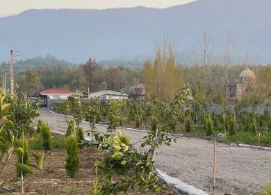 خرید زمین در نور چندین قطعه با متراژ مختلف قابل ساخت | ۲۴۰ متر