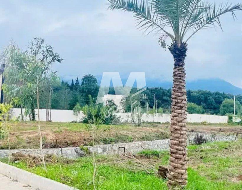 خرید زمین در نور قواره های مختلف شهرکی با اجازه ساخت | ۳۵۰ متر