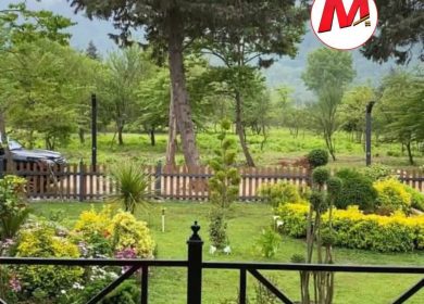خرید زمین در رویان ۳ قواره با متراژ مختلف جنگلی با سند | ۳۵۰ متر
