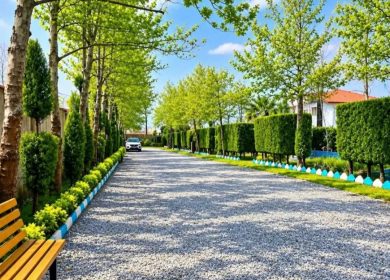 خرید زمین در چمستان 250 متر قابل ساخت و سرمایه گذاری | 250 متر