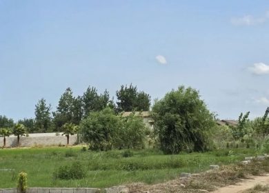 خرید زمین در چمستان ۳۰۰ متر با ویوی جنگل قابل ساخت جوربند | ۳۰۰ متر