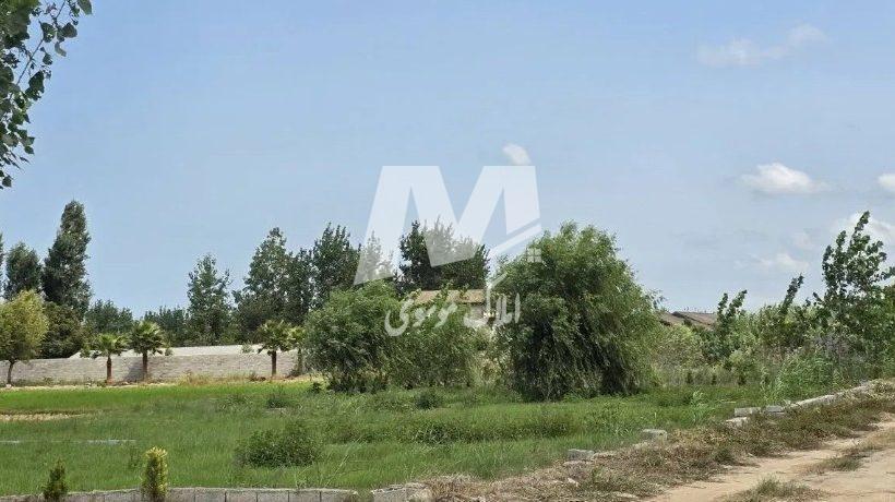 خرید زمین در چمستان ۳۰۰ متر با ویوی جنگل قابل ساخت جوربند | ۳۰۰ متر