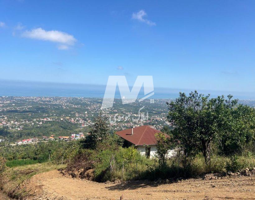 فروش زمین در دالیخانی رامسر | 844 متر