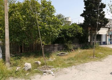 خرید زمین در نور دو قواره زمین ۲۵۰ و ۳۰۰ متر قابل ساخت سند دار | ۲۵۰ متر