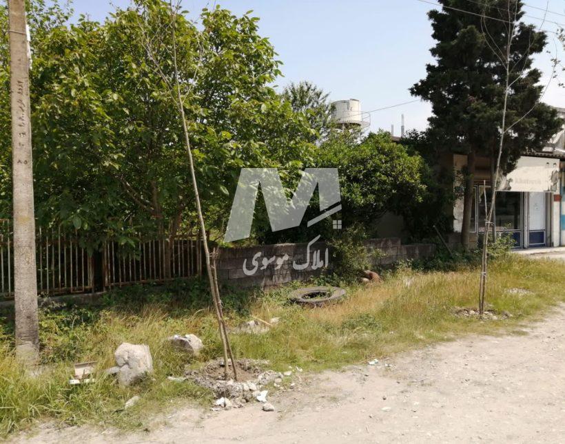 خرید زمین در نور دو قواره زمین ۲۵۰ و ۳۰۰ متر قابل ساخت سند دار | ۲۵۰ متر
