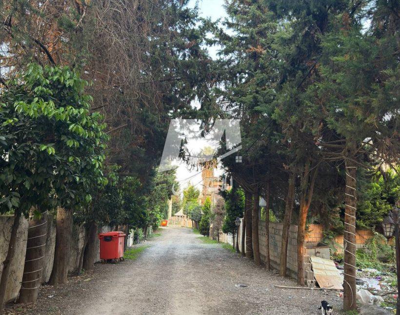 خرید ویلا چمستان امیرآباد جنگلی دوبلکس | ۳۰۰ متر